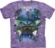 Dragonfly Dreamcatch Adult Dragonfly Dreamcatch Adult