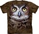 Great Horned Owl Adult Great Horned Owl Adult