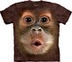 Big Face Baby Orangutan Adult Big Face Baby Orangutan Adult