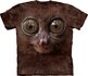 Big Face Tarsier Adult Big Face Tarsier Adult