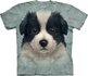 Tričko Border kólia šteniatko