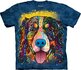 Russo Bernese Mountain Russo Bernese Mountain