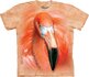 Big Face Flamingo Big Face Flamingo