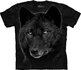 Black Wolf