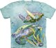 Sea Turtles Swim