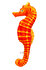 Vankúš Morský koník - oranžový 60 cm