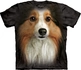 Sheltie Face Child Sheltie Face Child