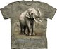 Asian Elephants Child Asian Elephants Child