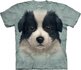 Tričko Border kólia šteniatko - detské