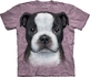 Kinder T-Shirt Boston Terrier Welpe Kinder T-Shirt Boston Terrier Welpe