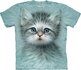 Blue Eyed Kitten Child Blue Eyed Kitten Child