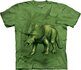 Triceratops Child Triceratops Child