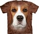 Beagle Face Adult Beagle Face Adult