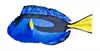 Kissen Mini Paletten-Doktorfisch - 32 cm Kissen Mini Paletten-Doktorfisch - 32 cm