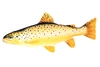 Kissen Forelle - 62 cm Kissen Forelle - 62 cm