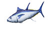 Tuna Pillow