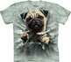 Pug Breakthru