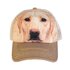 Siltes sapka hálóval Világos labrador