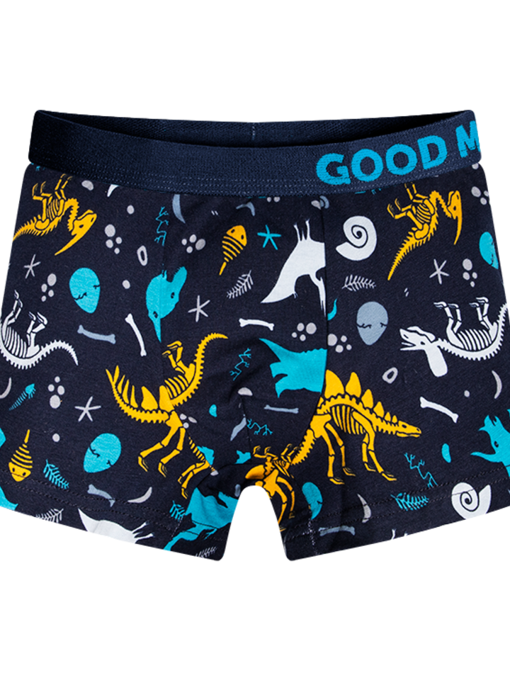 Boys' Boxers Dinosaurs Dedoles