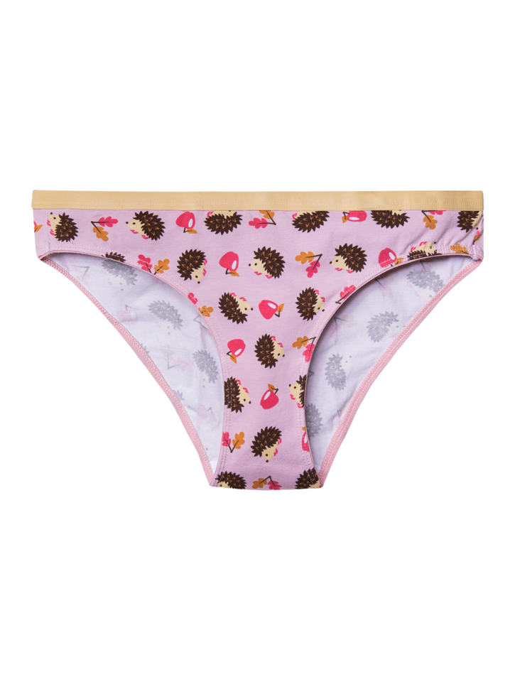Hedgehog Panties,hedgehog Underwear, Briefs, Cotton Briefs, Funny Underwear,  Panties for Women 
