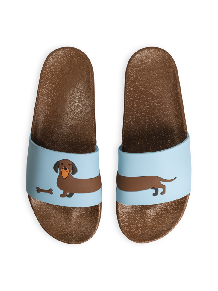 Dachshund Slides Dachshund Slides