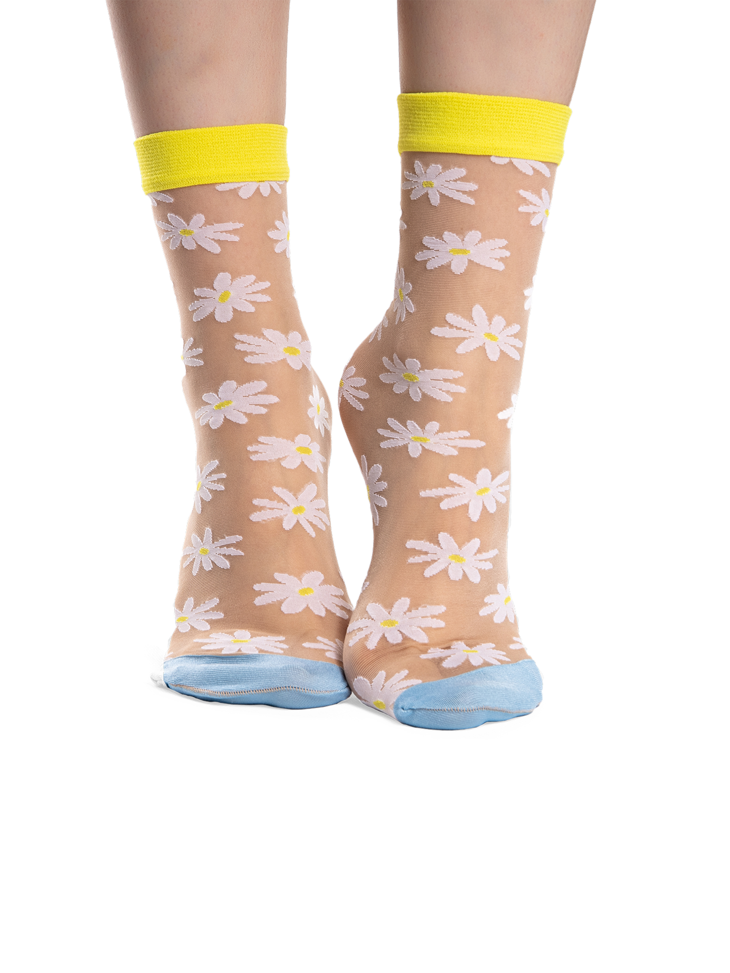 Nylon Socks Daisies Dedoles