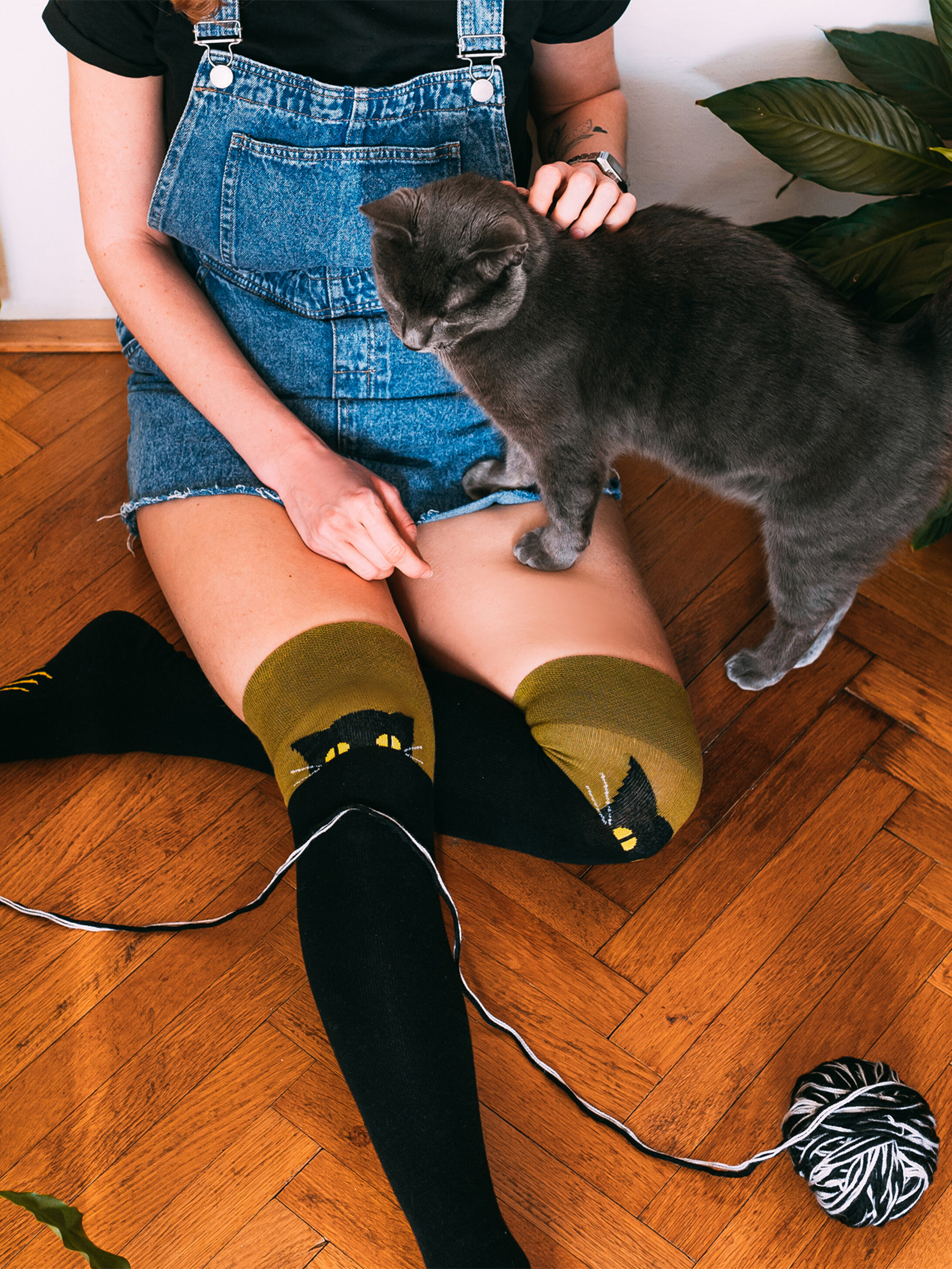Over the Knee Socks Cat Dedoles