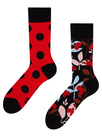 Foto Veselé ponožky Berušky