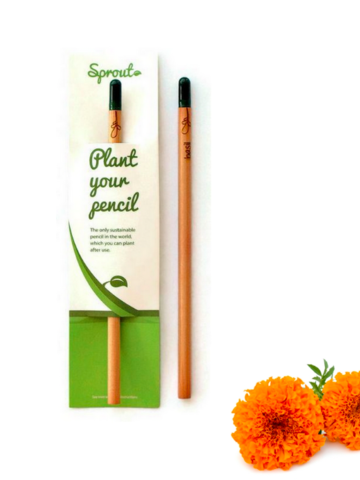 Výpredaj Zasaď ceruzku - aksamietnica