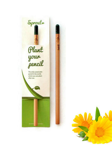 Lifestyle foto Zasaď ceruzku - nechtík