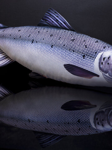 Lifestyle foto Vankúš Losos - 90 cm