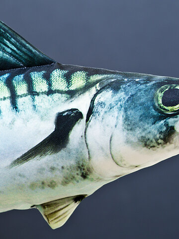 Lifestyle foto Vankúš Makrela - 50 cm