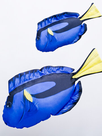 Lifestyle foto Vankúš Mini tŕňovec pestrý - 32 cm