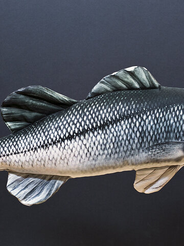 Lifestyle foto Vankúš Morský ostriež - 70 cm