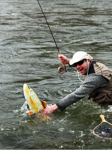 Obrázok produktu Vankúš Ostriež čierny - 67 cm