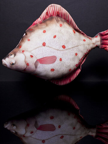 Lifestyle foto Vankúš Platýz - 40 cm