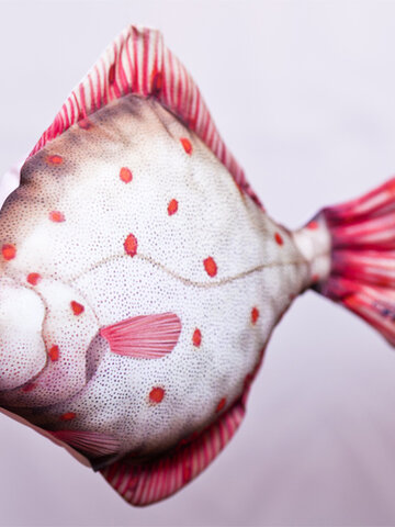 Výnimočný darček od Dedoles Vankúš Platýz - 40 cm