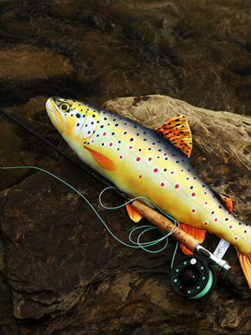 Výpredaj Vankúš Pstruh - 62 cm