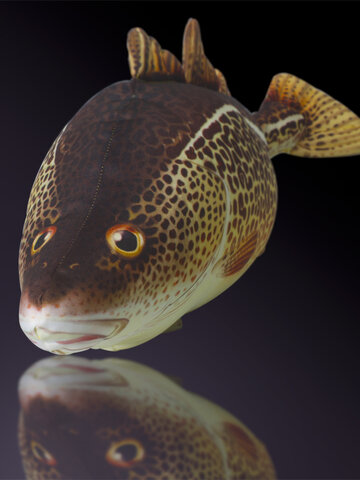 Zdjęcie lifestyle Cod Pillow