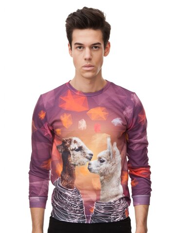 Potešte sa týmto kúskom Dedoles Суичър без качулка Лами