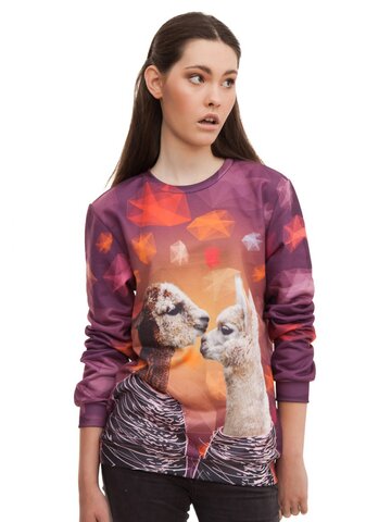 Výpredaj Суичър без качулка Лами