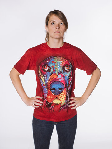 Zľava Russo Bassett Hound