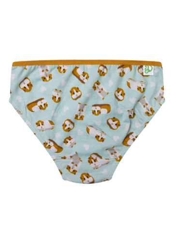 Eredeti és szokatlan ajándékot keres? a megajándékozottat garantáltan meglepi Vidám lány alsó Tengerimalac