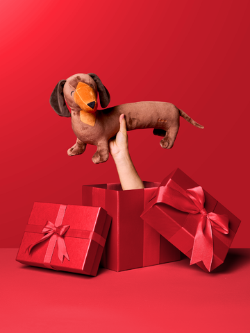 Hľadáte originálny a nezvyčajný darček? Obdarovaného zaručene prekvapí Плюшена играчка Дълъг дакел на Dedoles