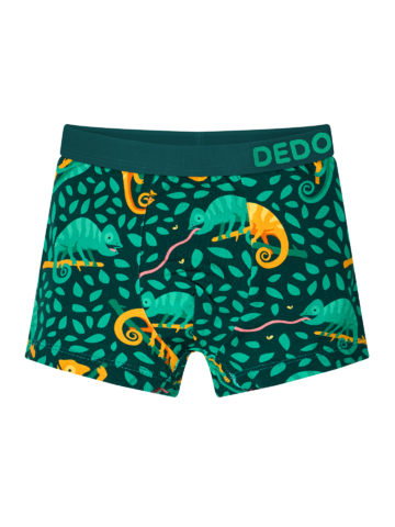 Pre dokonalý a originálny outfit Весели боксерки за момчета Хамелеон на лов