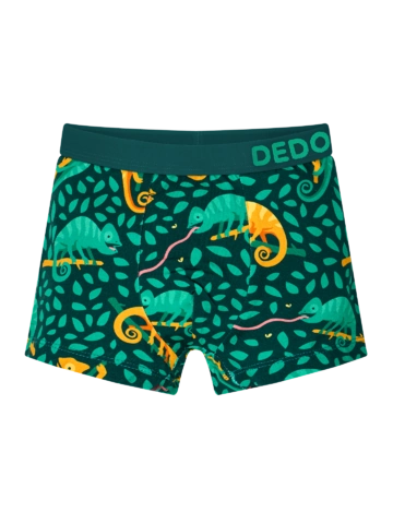 Pre dokonalý a originálny outfit Veselé chlapčenské boxerky Chameleón na love