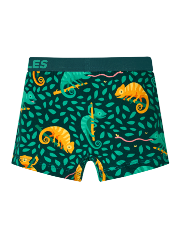 Potešte sa týmto kúskom Dedoles Весели боксерки за момчета Хамелеон на лов