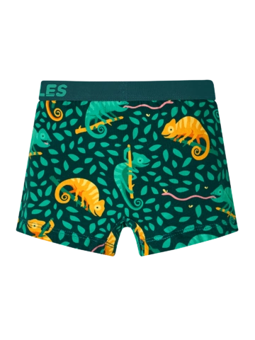 Potešte sa týmto kúskom Dedoles Veselé chlapčenské boxerky Chameleón na love