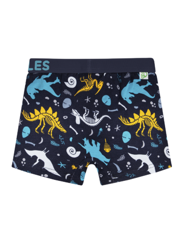 Gift idea Boys' Boxers Dinosaurs