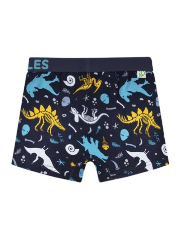 Tip na darček Boxers rigolos pour garçons Dinosaures
